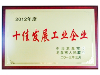 2012年度十佳发展工业企业